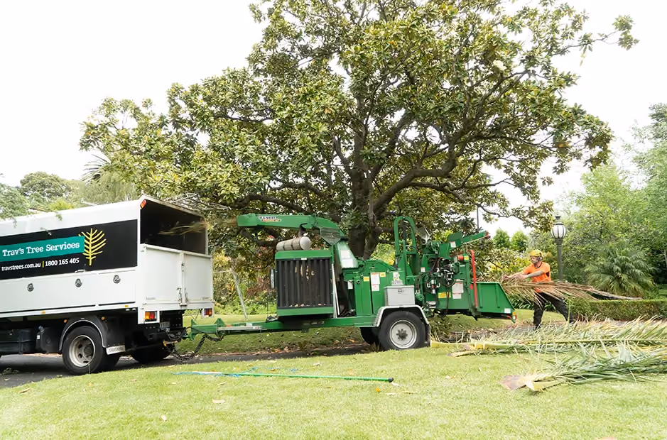 Palm fronds being fed into the chipper for efficient on-site mulching.