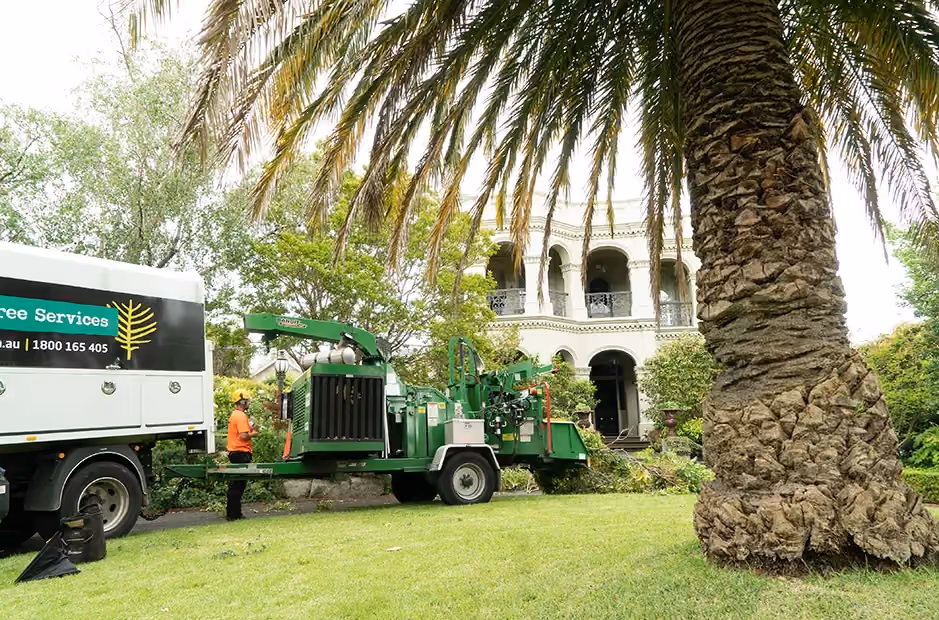 Green waste processed on-site at a Melbourne property using high-powered mulching equipment.