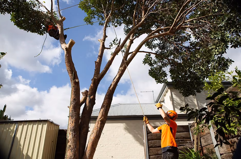 Ground support guiding the rigging as our climber works above.