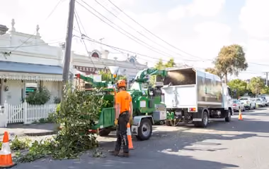 Trav’s Trees’ specialists mulch branches that they’ve just cut. They’re working on a residential street in Melbourne, where you can clearly see the network of powerlines that the removed branches were interfering with.