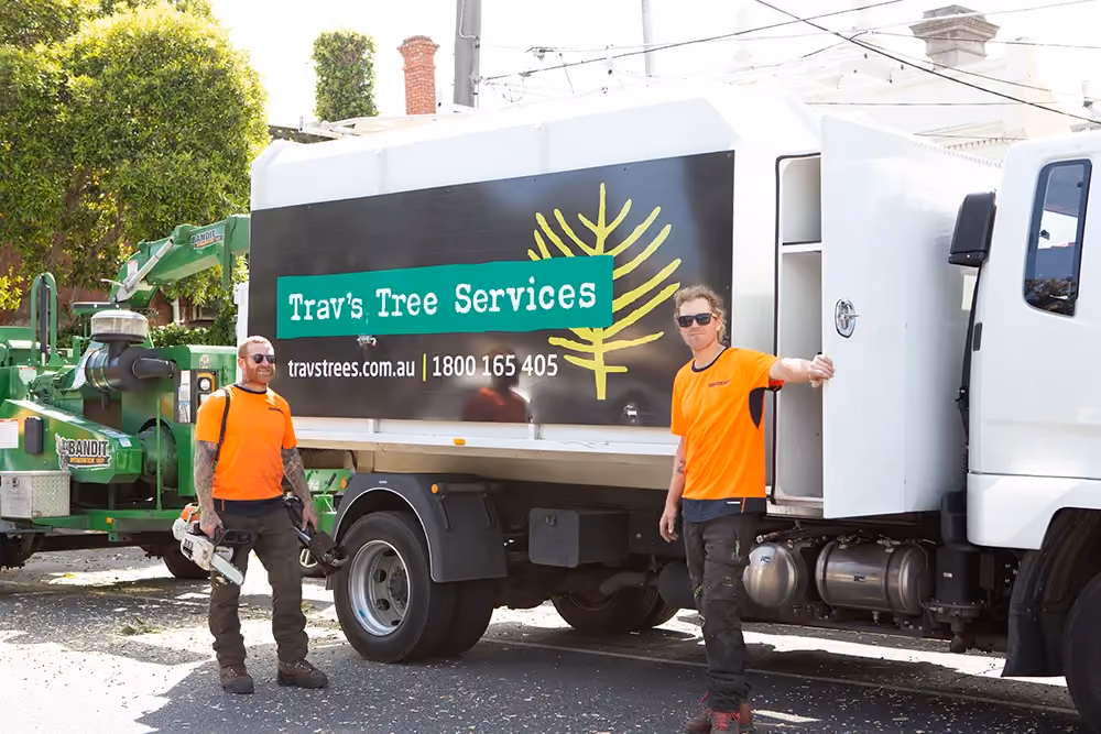 Certified arborists standing beside tree removal truck.