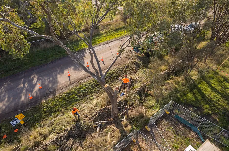 Commercial site clearance job in Melbourne