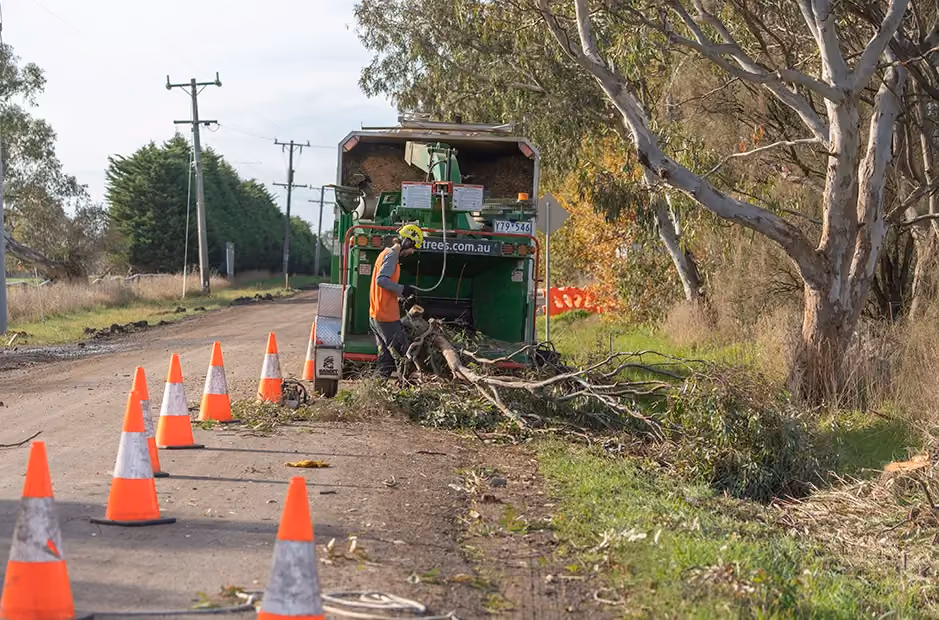 Clearing a fallen tree on side of road in melbourne