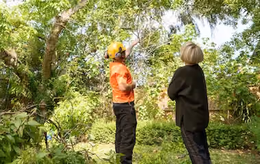 Arborist showing a client a recently pruned tree