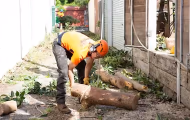 Arborist removing a tree stump