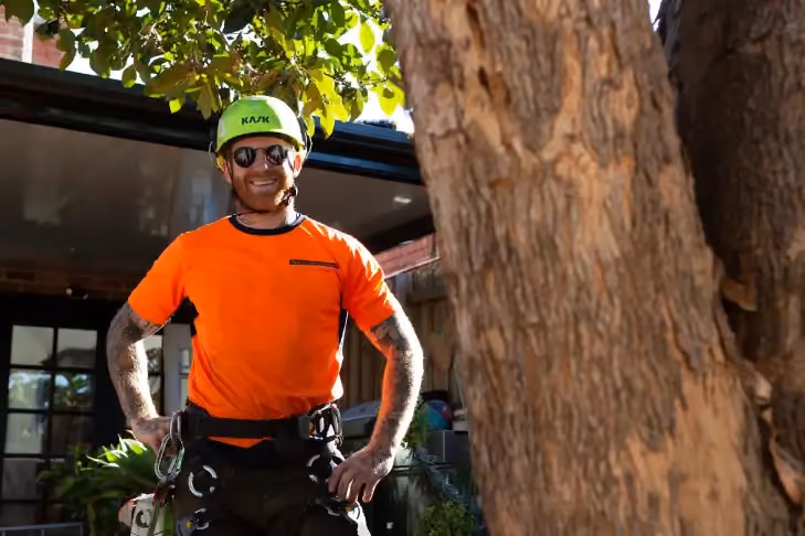Professional arborist prepared for tree assessment and removal.