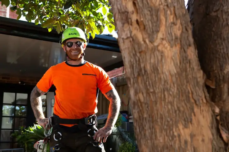 One of our arborists smiling for the camera while working at a client’s home.