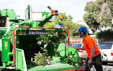 저희 팀이 현장에서 멀칭을 하여 쉽게 제거할 수 있습니다.