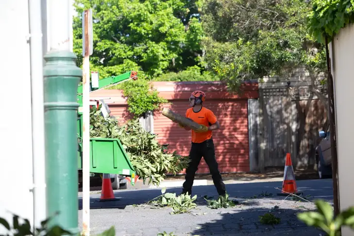 Tree clearing specialist processing branches in Melbourne with modern equipment to reduce land clearing impacts and promote sustainable site management.