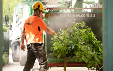 상업용 토지 개간 서비스의 일환으로 멜버른에서 대규모 나무를 제거하는 동안 나무꾼이 나뭇가지를 목재 절단기에 공급하고 있습니다.