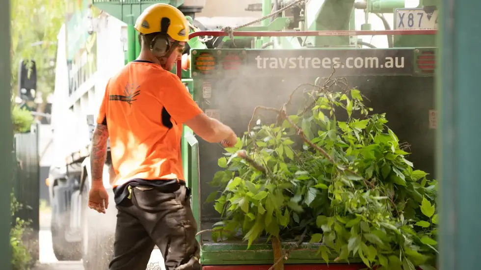 Arborist feeding branches into wood chipper during large-scale tree removal in Melbourne as part of commercial land clearing services.