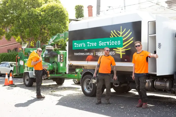 Trav’s Tree Services team with wood chipper and trucks providing expert tree removal, stump removal, and land clearing solutions in Melbourne.