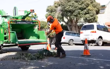 Arborist performing site clearing in Melbourne with a wood chipper, removing vegetation and debris to prepare a site for construction.