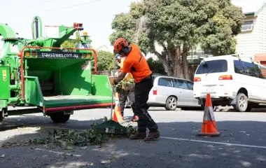 멜버른에서 나무 깎는 기계로 부지 개간 작업을 하는 수목 전문가가 공사 부지를 준비하기 위해 초목과 잔해물을 제거하고 있습니다.
