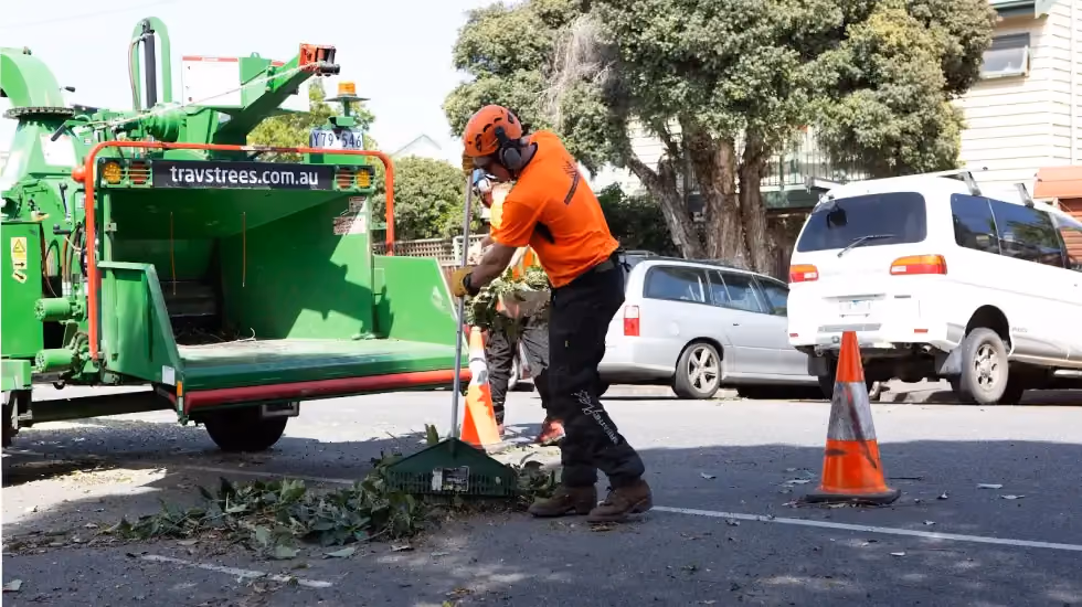 Arborist performing site clearing in Melbourne with a wood chipper, removing vegetation and debris to prepare a site for construction.