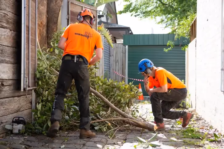 Trav’s Trees team carrying out vegetation clearing and land clearing in Melbourne, ensuring the site is safe and ready for building projects.