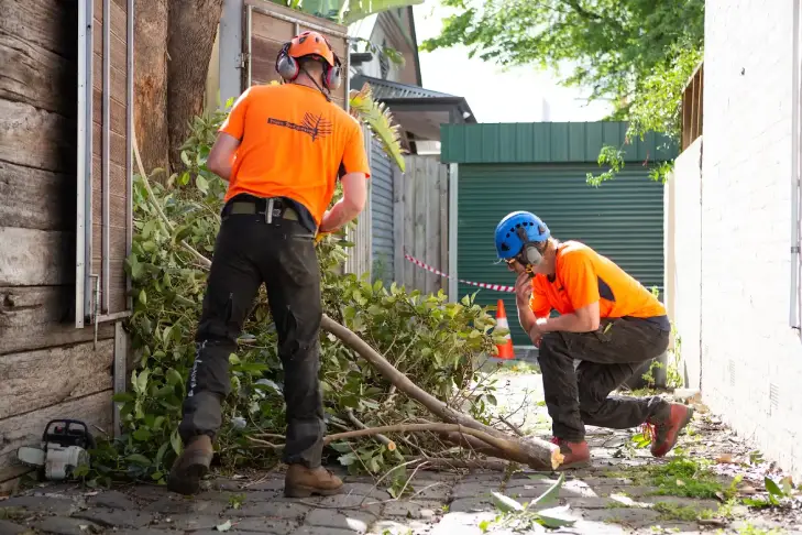 Trav’s Trees team carrying out vegetation clearing and land clearing in Melbourne, ensuring the site is safe and ready for building projects.