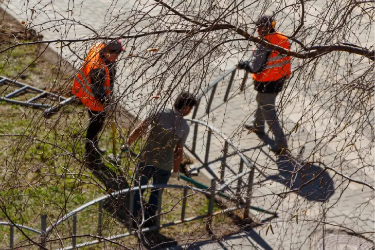 Trav’s Tree Services team in Melbourne specialising in eco-friendly land clearing and sustainable tree removal practices.