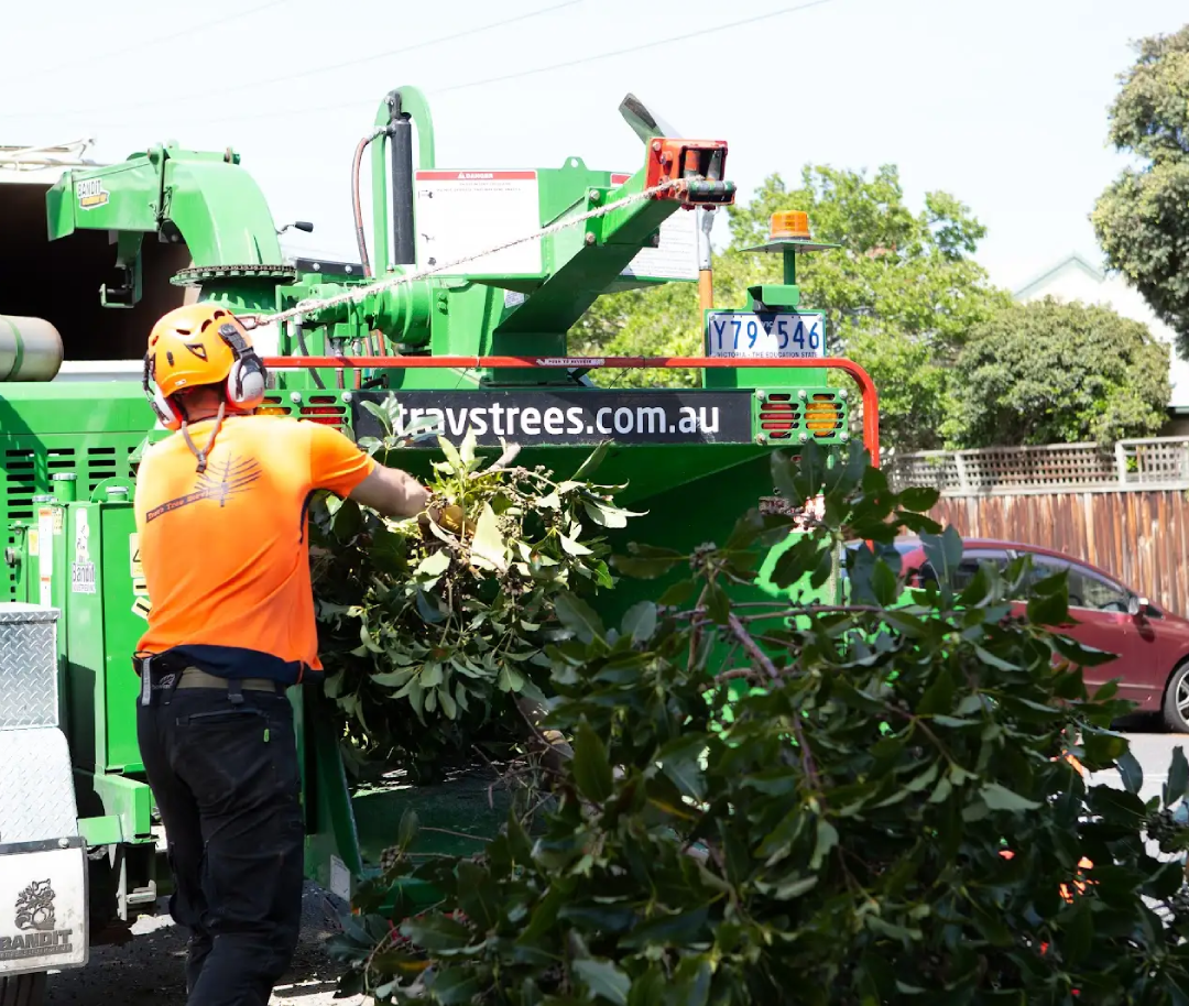 Emergency tree removal of a storm-damaged trunk by a qualified arborist