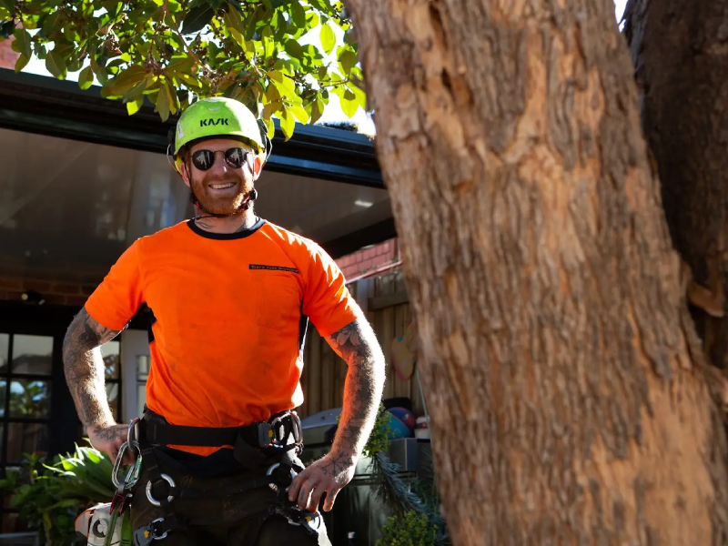 Qualified arborist on site during emergency tree work following storm damage