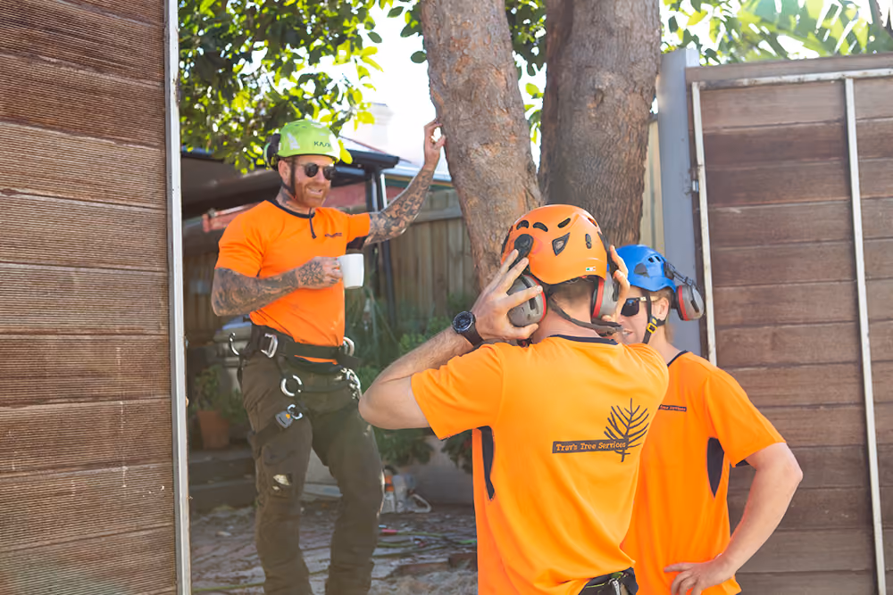 Trav’s Trees arborists preparing safety equipment before starting tree work.