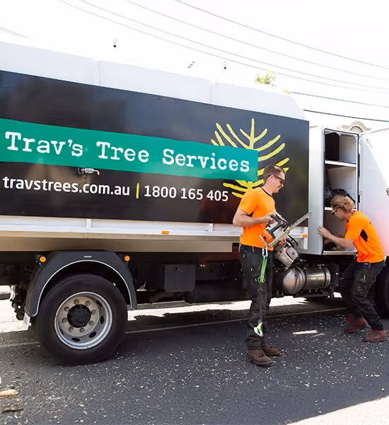 Trav’s Tree Services crew unloading equipment from a work truck before starting a tree job.