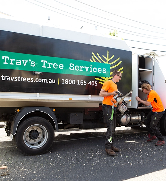  트래브 트리 서비스(Trav’s Tree Services) 직원들이 나무 관리 작업을 시작하기 전 작업용 트럭에서 장비를 내리고 있다.