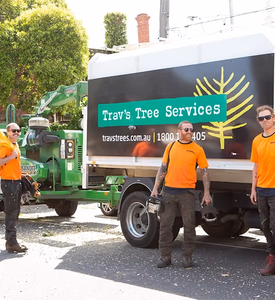 Trav’s Trees arborist team standing beside their service truck and equipment before starting a job.