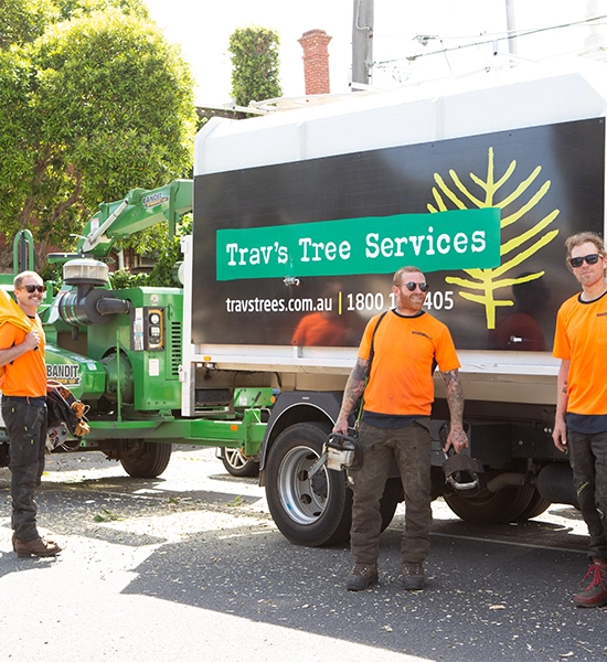 Trav’s Trees arborist team standing beside their service truck and equipment before starting a job.