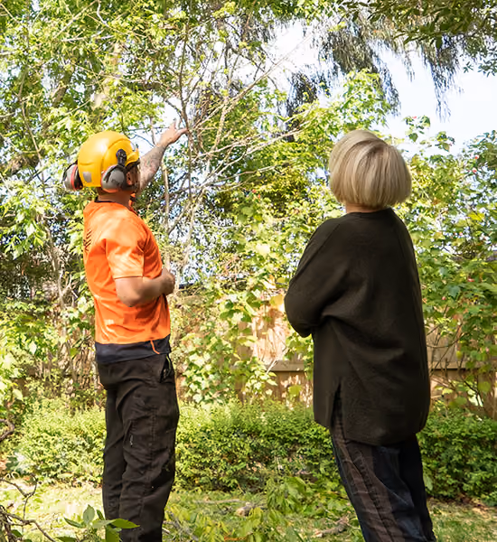 Professional arborist discussing tree pruning recommendations with a homeowner in a residential garden.