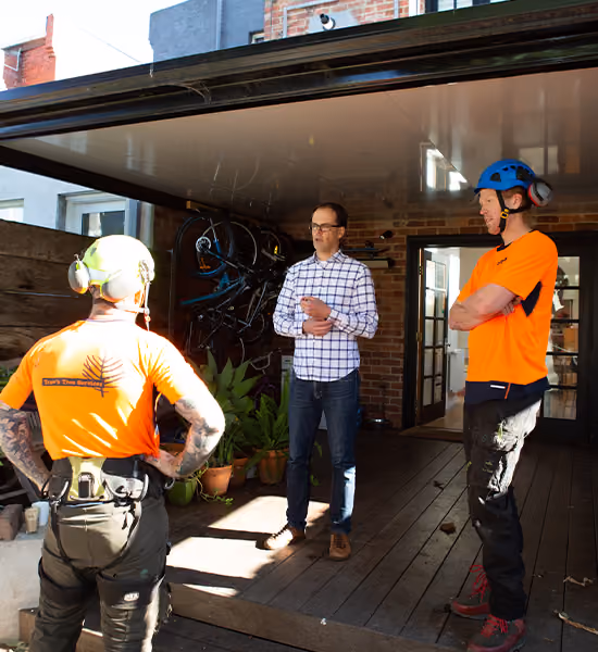 Professional arborists consulting with a homeowner before carrying out residential tree removal services.
