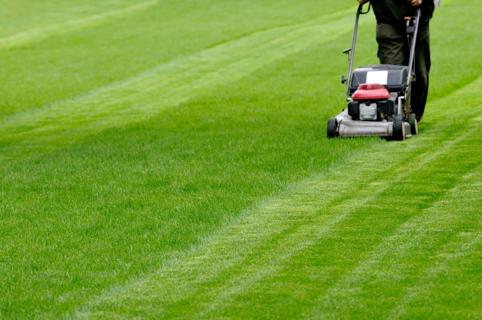 man mowing the lawn