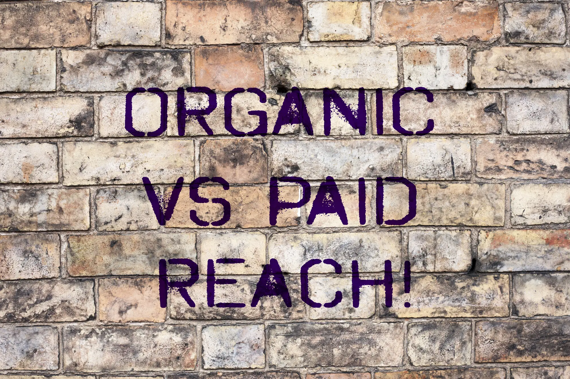 Brick wall with the phrase Organic vs Paid Reach painted in purple text