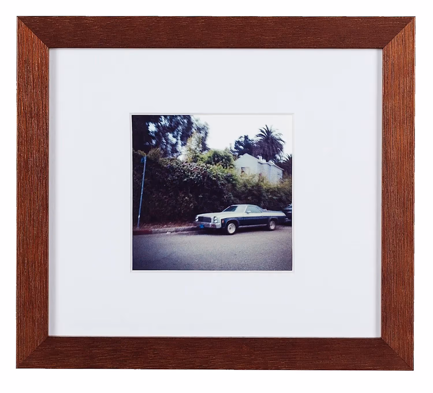 El Camino 5