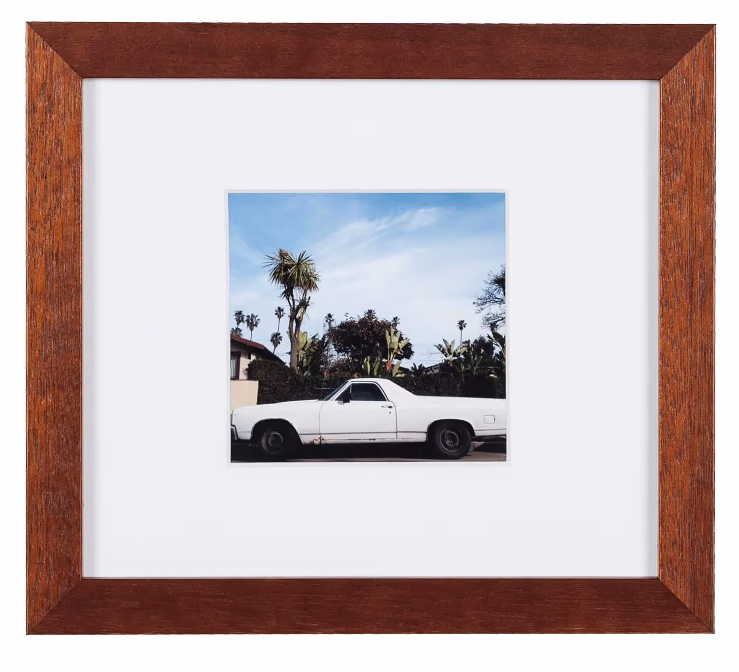 El Camino 15
