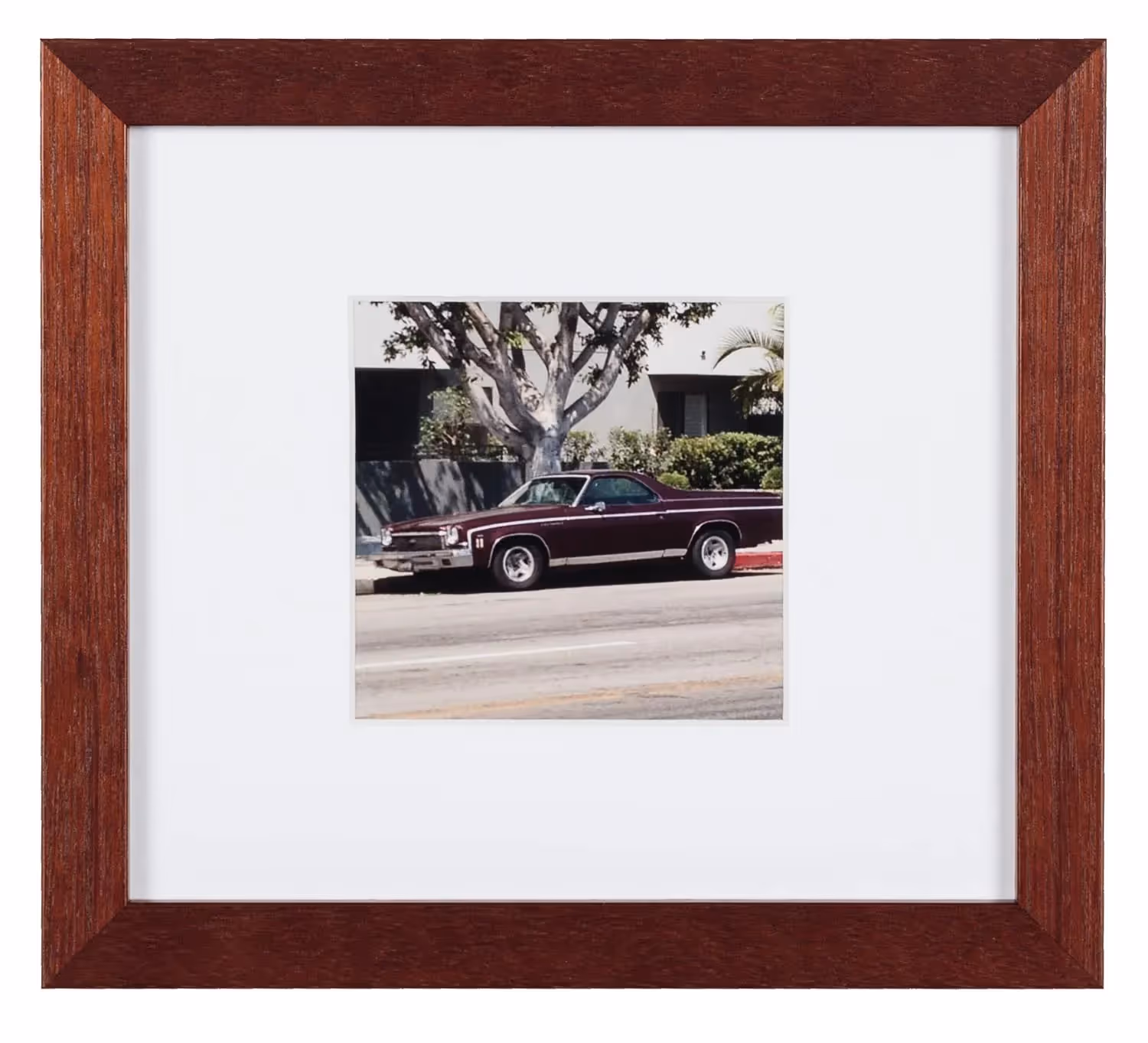 El Camino 17