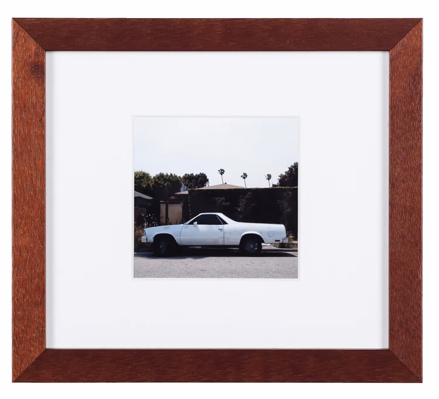 El Camino 21