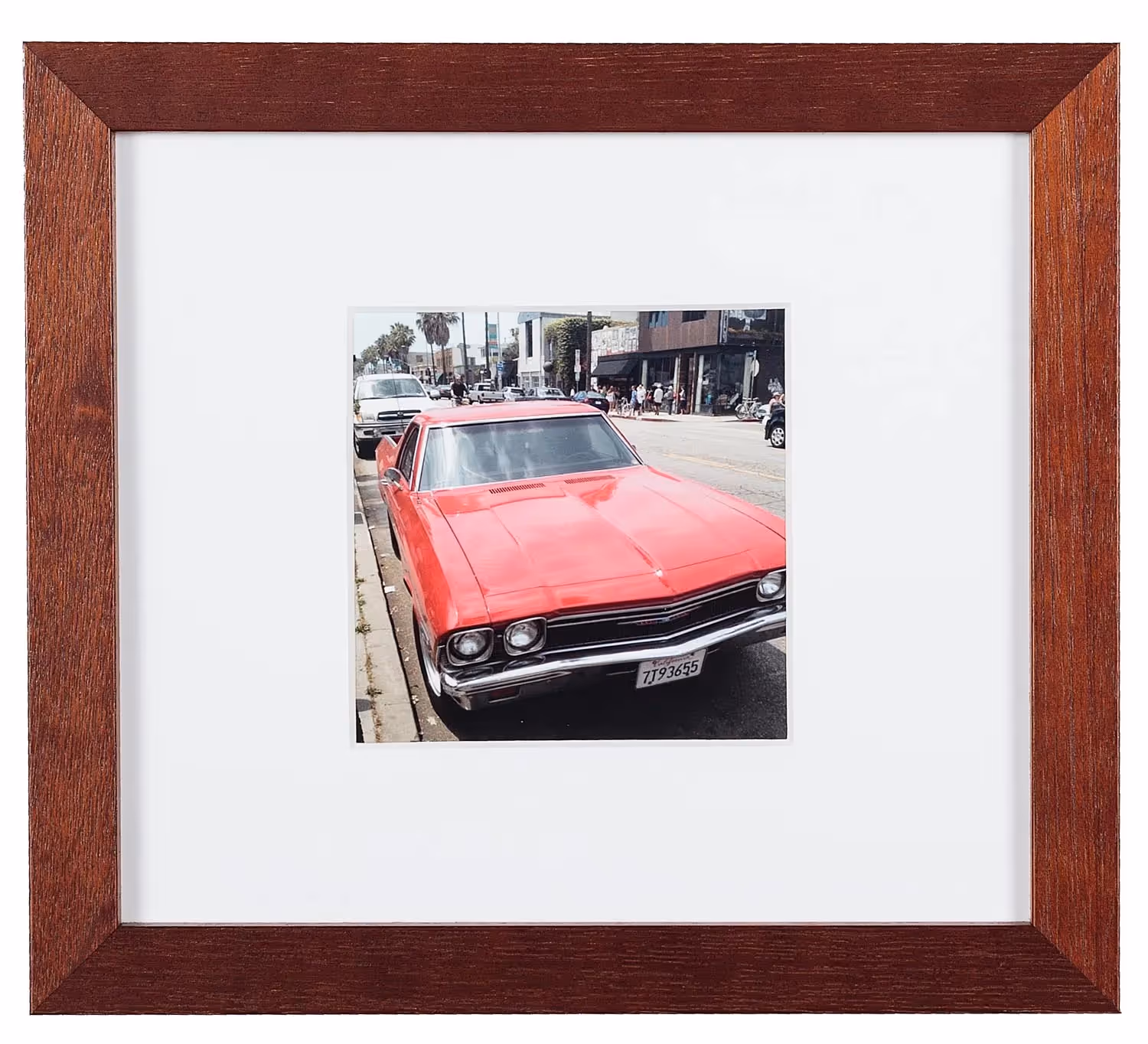 El Camino 54