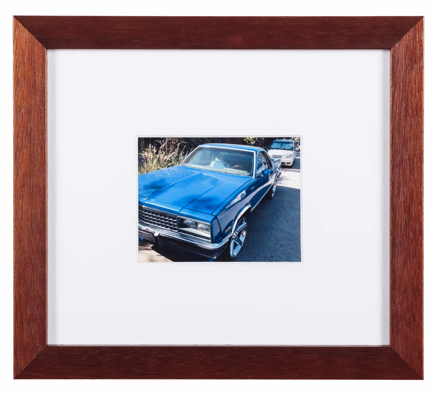 El Camino 149