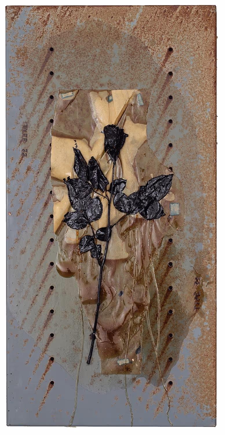 Black Roses