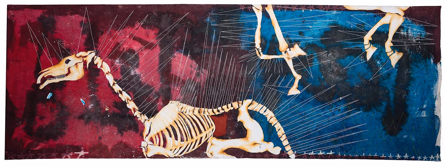 Horse Skeleton