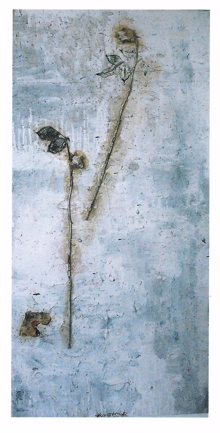 Roses White