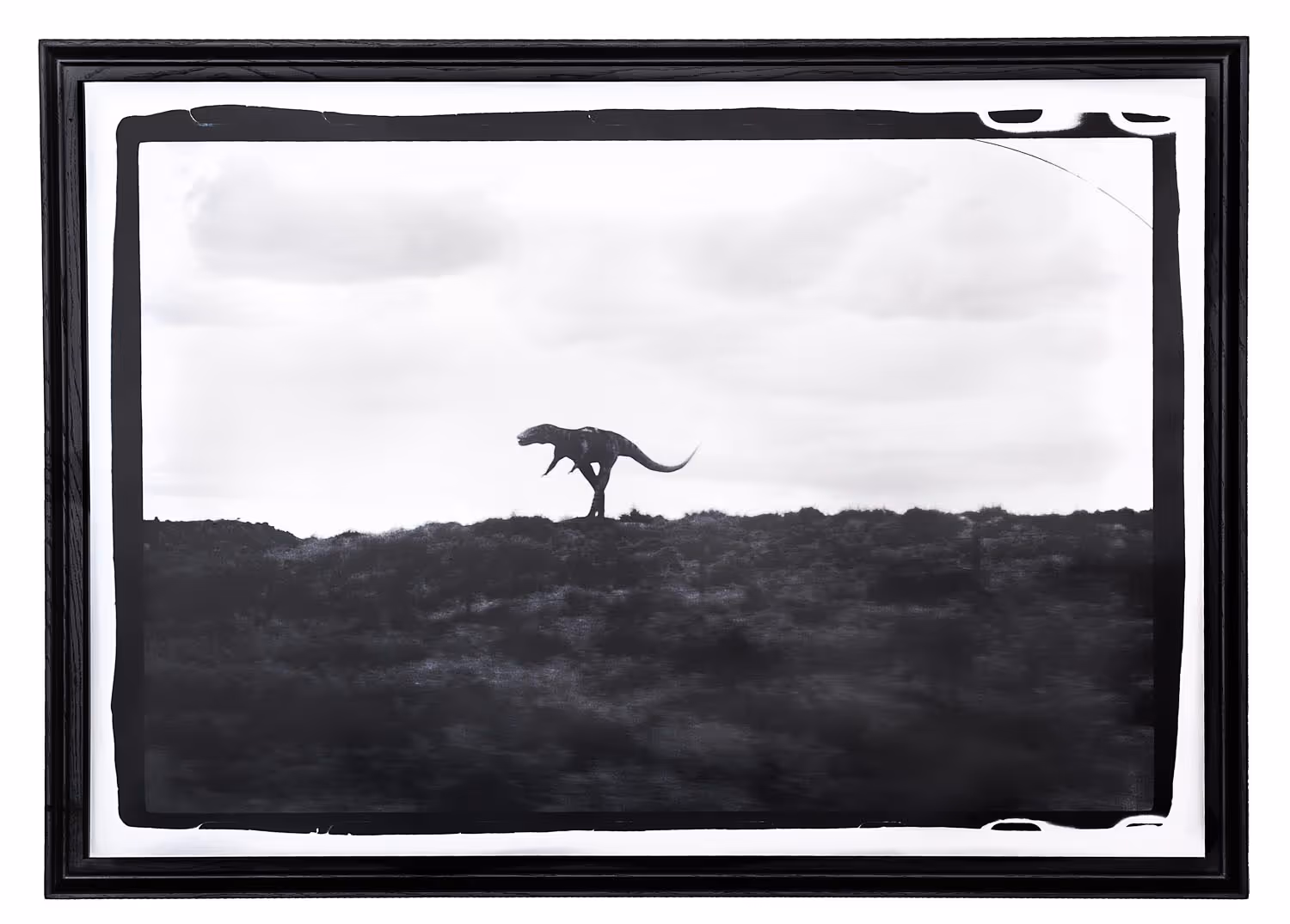 Dinosaur
