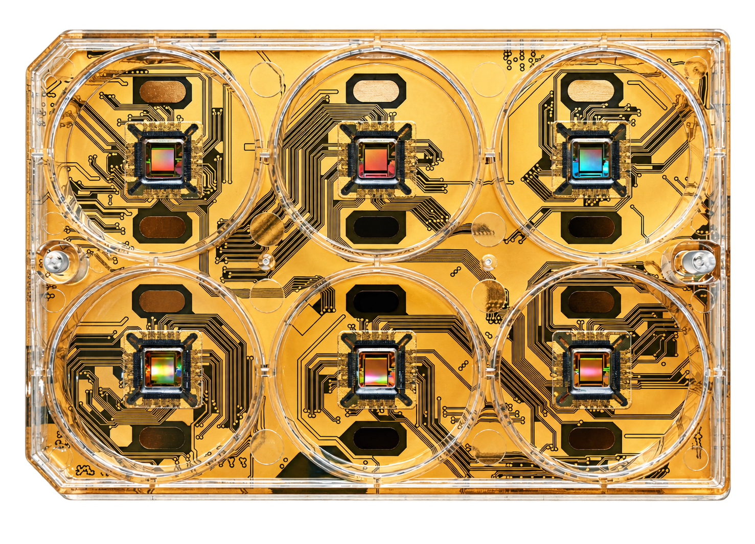 CorePlate™ Multiwells - 3Brain