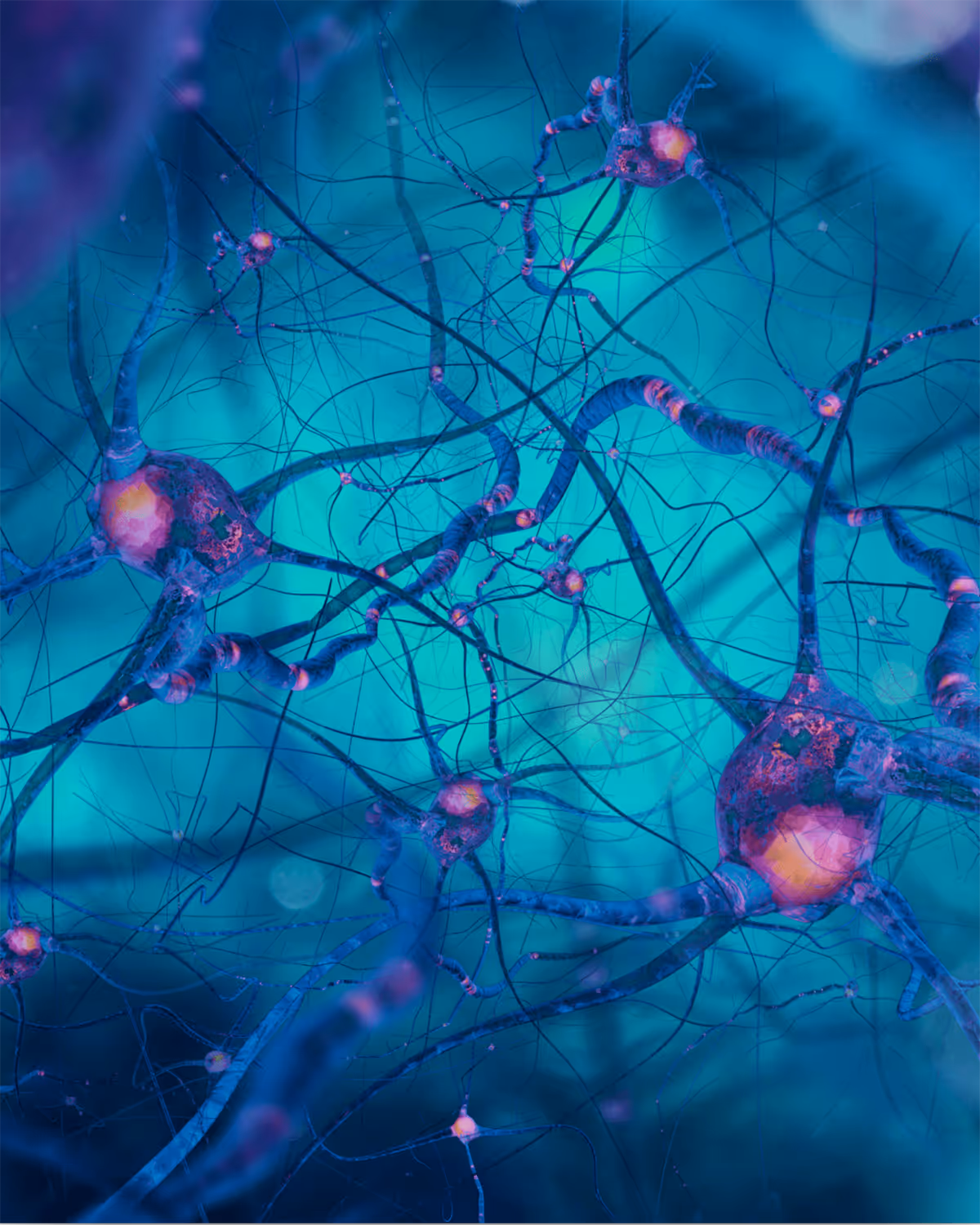 A vibrant medical illustration of a neural network, showing interconnected neurons (brain cells) firing. 