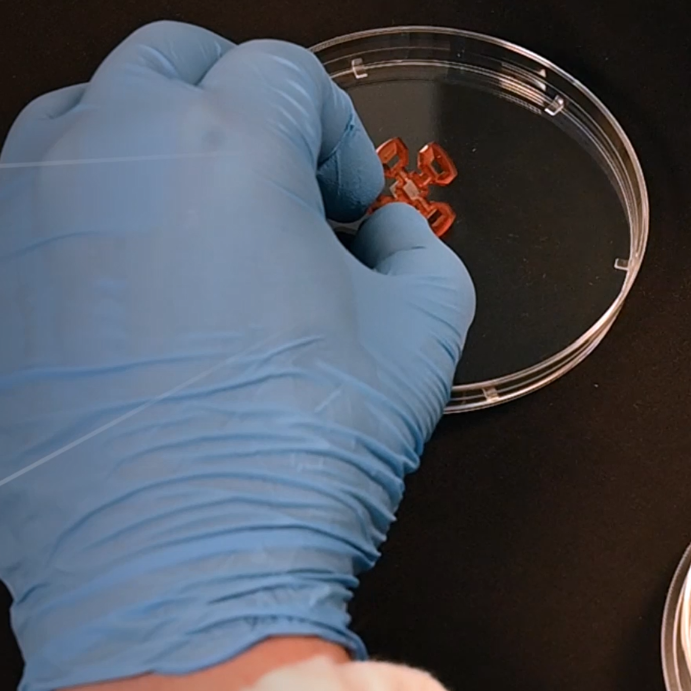 Single cell activity propagation (Acute Retina) provided by Universität Oldenburg - 3Brain Youtube
