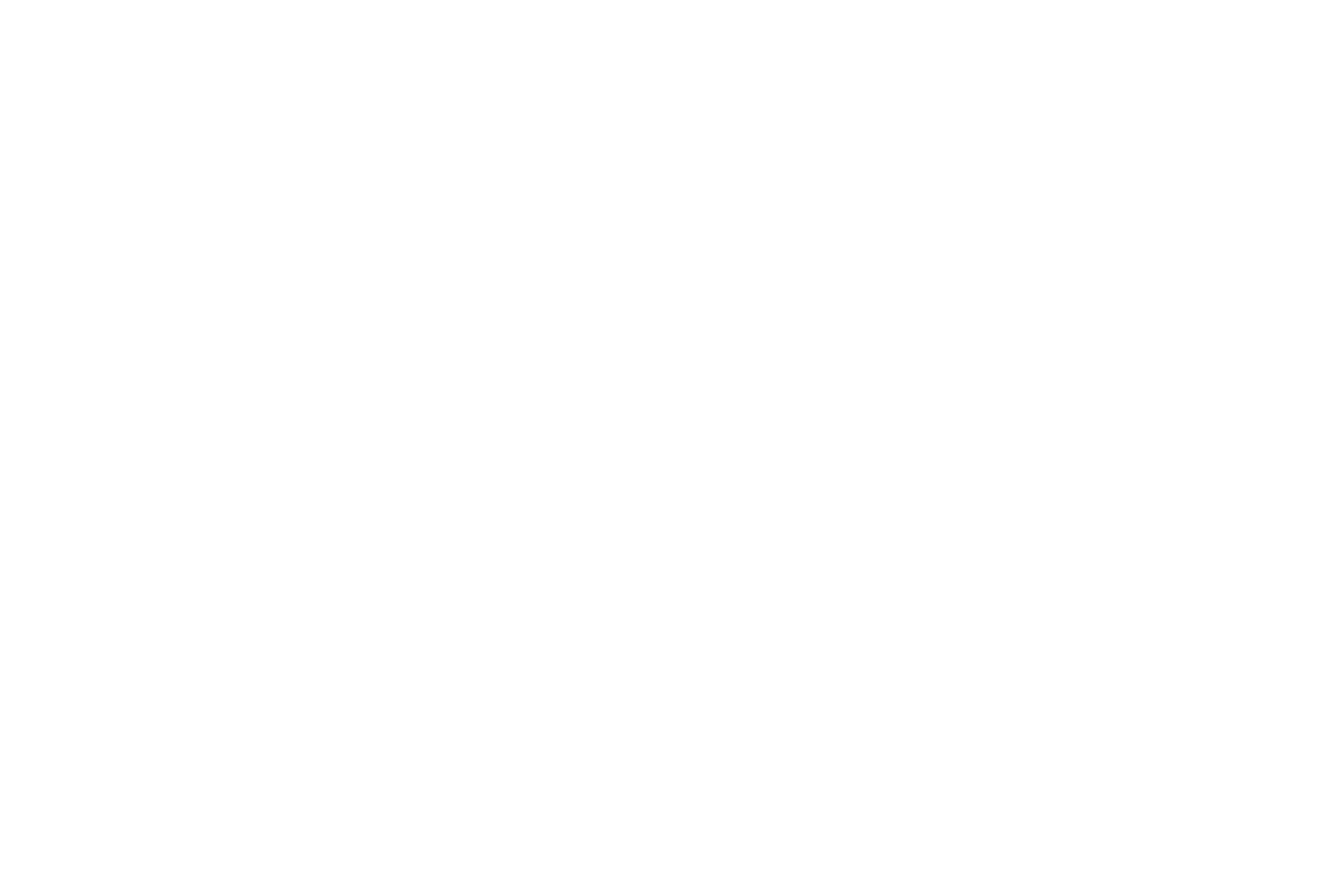 bringedalfoto logo