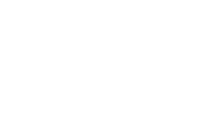 APHP-Logo