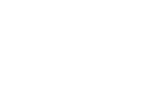 SNEF-Logo