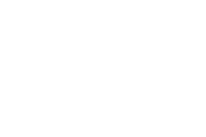 Logotipo branco Veolia